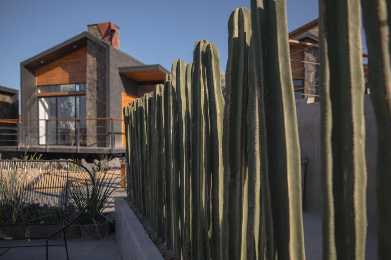 Sirius Valle Valle de Guadalupe Kültér fotó